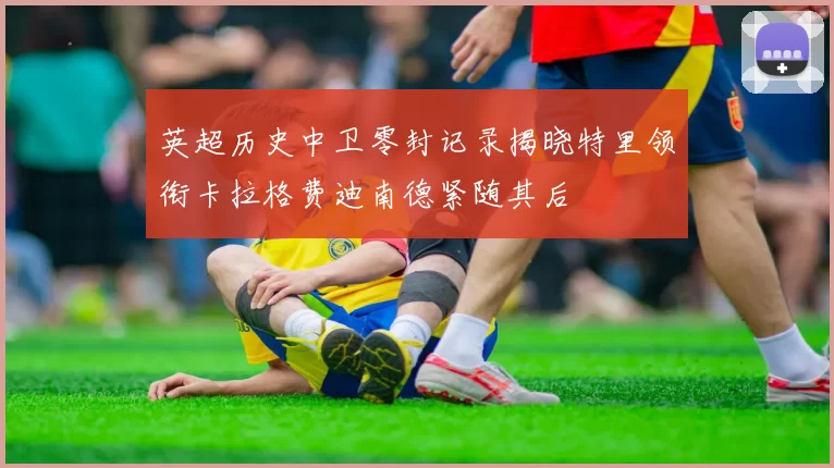 英超历史中卫零封记录揭晓特里领衔卡拉格费迪南德紧随其后