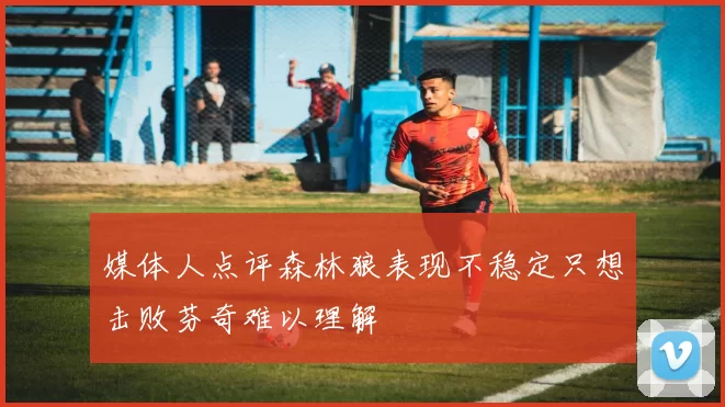 媒体人点评森林狼表现不稳定只想击败芬奇难以理解